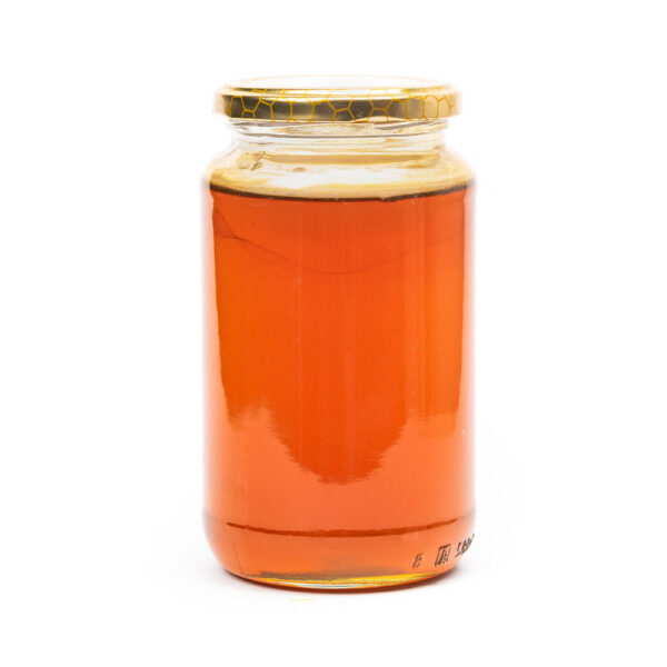 Miele di Eucalipto 580ml