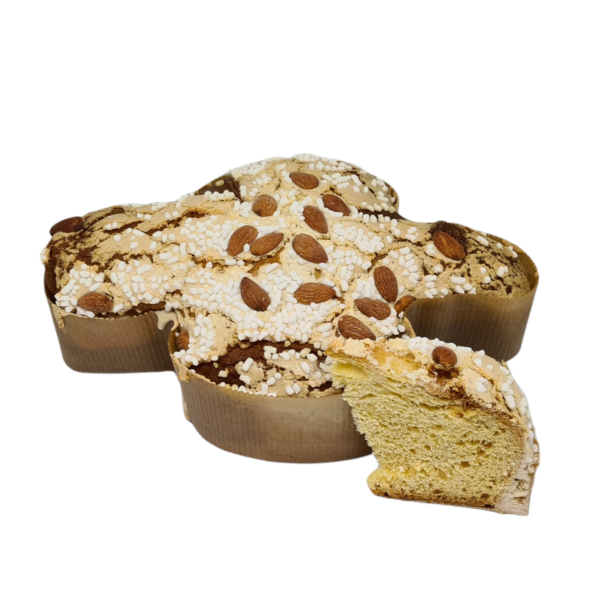 COLOMBA CLASSICA senza canditi